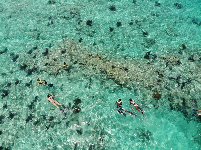Key West: Dolphin Watching and Snorkeling Sunset Cruise - Key points to know before booking