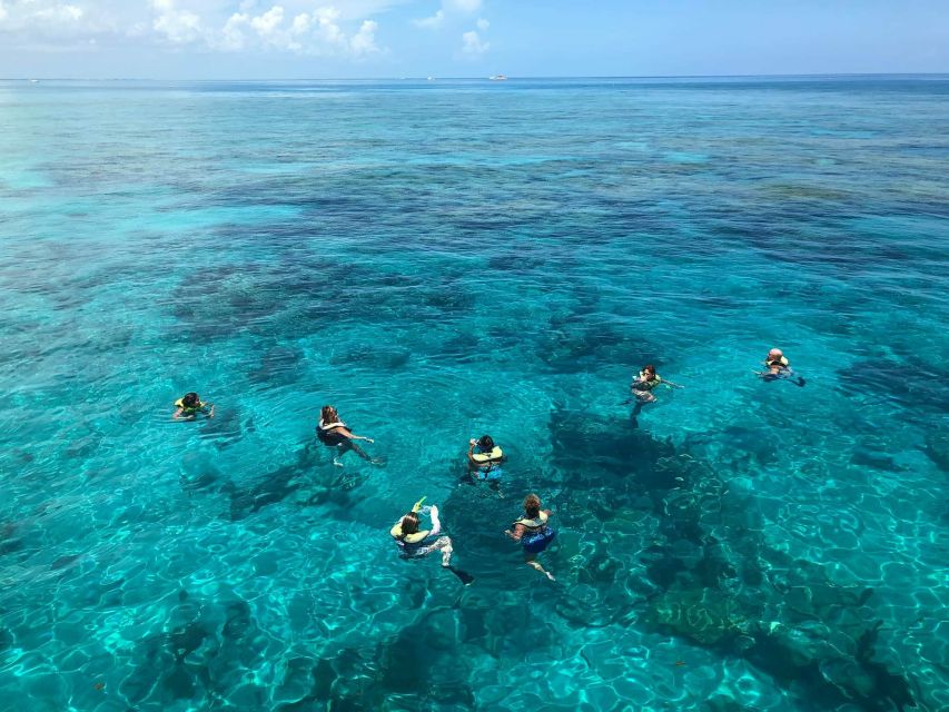 Key West: Dolphin Watching and Snorkeling Sunset Cruise - The sunset ride back to Key West