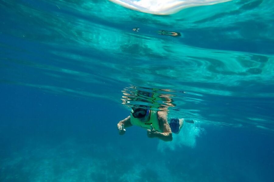 Key West: Dolphin Watching and Snorkeling Sunset Cruise - My practical verdict