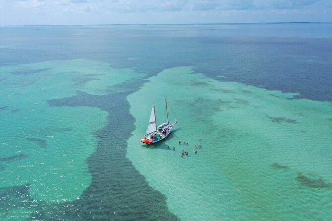 Key West Full-Day Ocean Adventure: Kayak, Snorkel, Sail - Kayaking beneath the mangroves