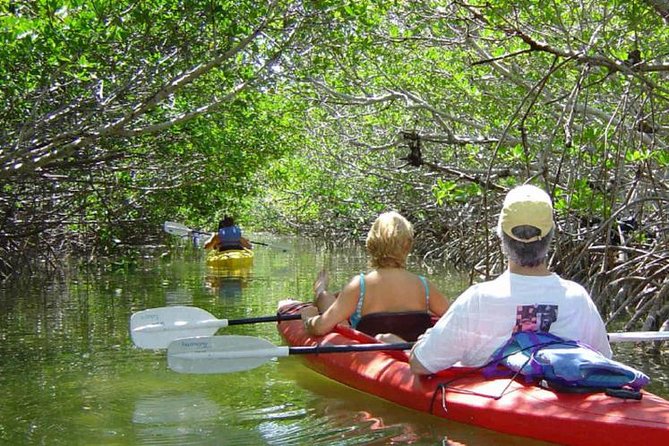 Key West Mangrove Kayak Eco Tour - Key points to know before you book