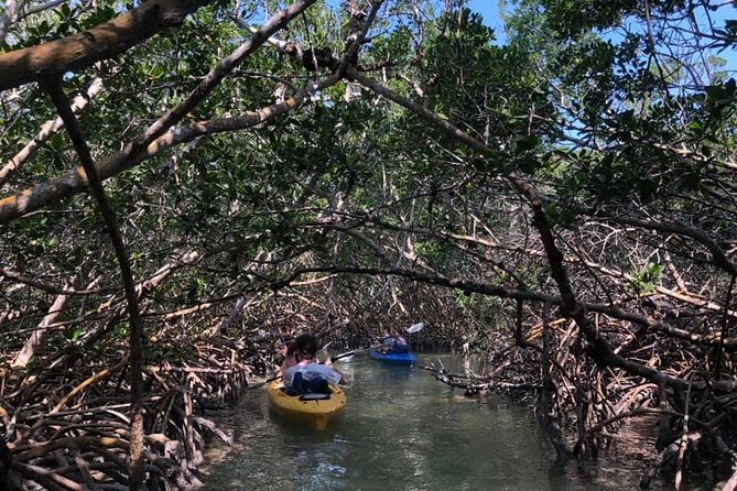 Key West Mangrove Kayak Eco Tour - The guides shape the quality of the outing