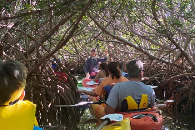 Key West Mangrove Kayak Eco Tour - How hard is the paddle?
