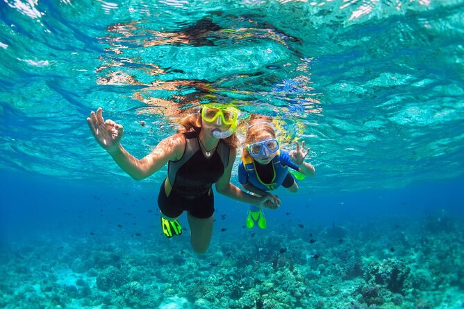 Key West Reef Morning Snorkeling with Breakfast and Mimosas - Who gets the best value for $35