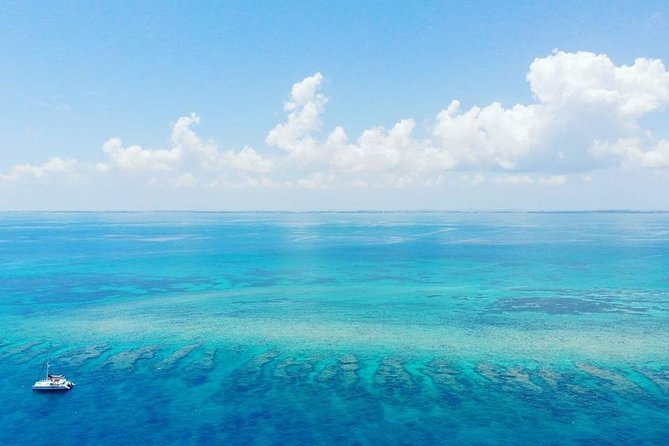 Key West Reef Morning Snorkeling with Breakfast and Mimosas - A practical morning plan