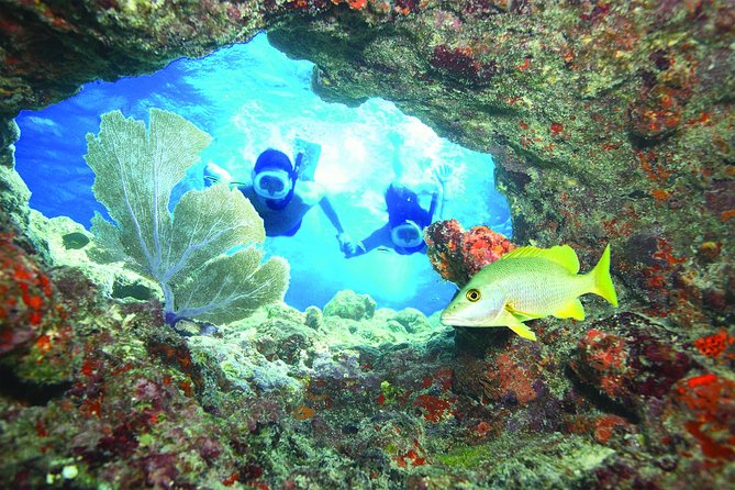 Key West Reef Snorkel – Morning Mimosas or Afternoon Margaritas - Sailing from Opal Key Marina