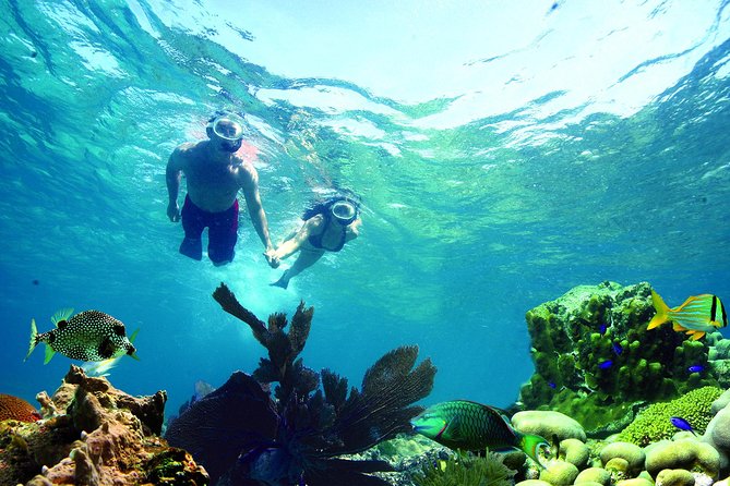 Key West Reef Snorkel – Morning Mimosas or Afternoon Margaritas - Using the stairway to the sea