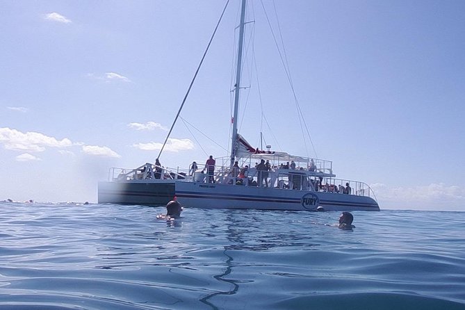 Key West Reef Snorkel – Morning Mimosas or Afternoon Margaritas - What you may see below the surface