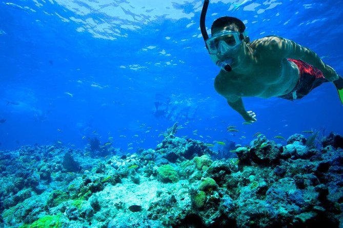 Key West Reef Snorkel – Morning Mimosas or Afternoon Margaritas - About an hour of snorkeling, not three