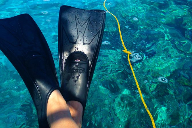 Key West Reef Snorkel & Sail Adventure - Sailing out of Key West on the Floridays