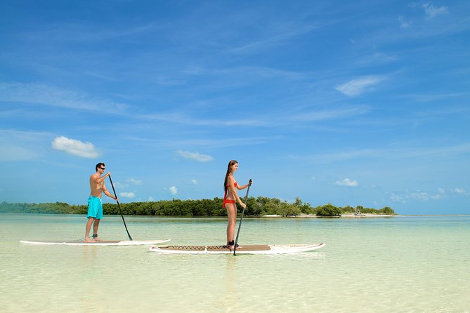Key West's Island Adventure Sandbar Tour with Kayaking - Lunch is useful, simple, and best understood correctly