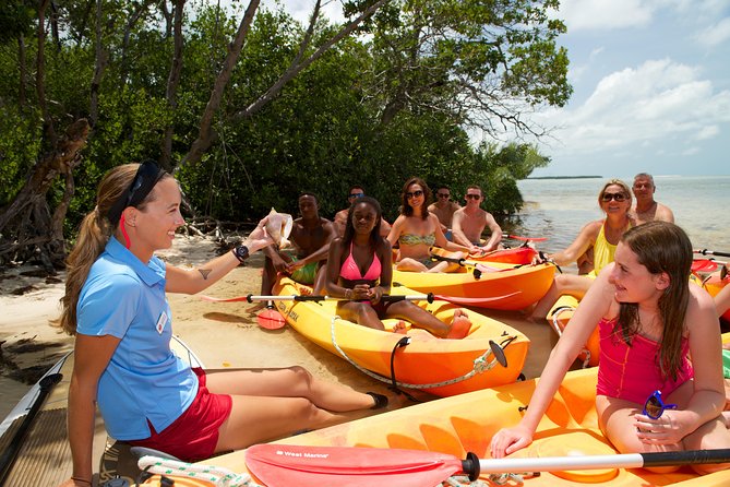 Key West's Island Adventure Sandbar Tour with Kayaking - Crew, group size, and the feel onboard