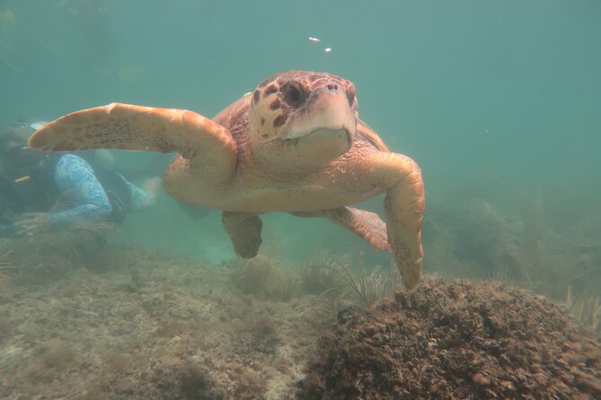 Key West SNUBA Experience - Learning the regulator before going under