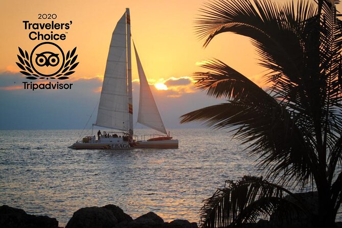 Key West Sunset Sail: Dolphin Watching, Wine, and Tapas - Who will enjoy this Key West sunset sail