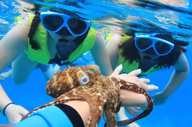 Ko Olina Catamaran Sail and Snorkel with Lunch - Why this west-coast sail works so well