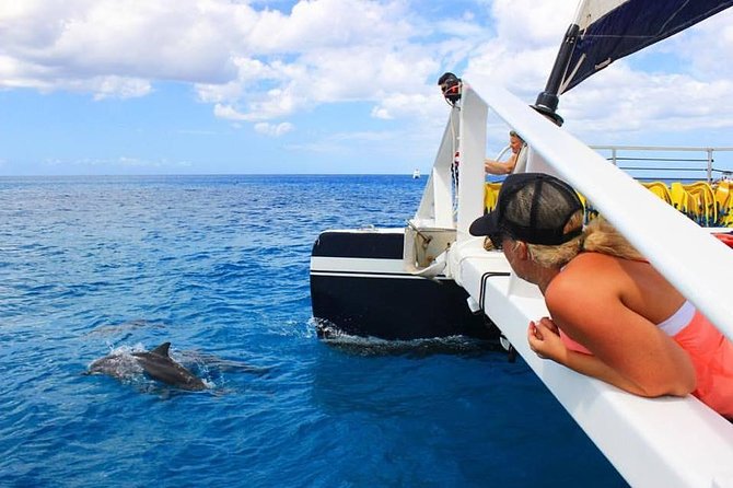 Ko Olina Catamaran Sail and Snorkel with Lunch - Boarding the 53-foot catamaran