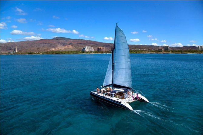 Ko Olina Catamaran Sail and Snorkel with Lunch - Wildlife sightings are a bonus, not a promise