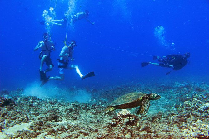 Ko Olina Catamaran Sail and Snorkel with Lunch - Who will enjoy this tour most