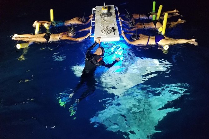 KONA Manta Ray Night Snorkel - FREE re-ride if no Sightings - Key details before you book