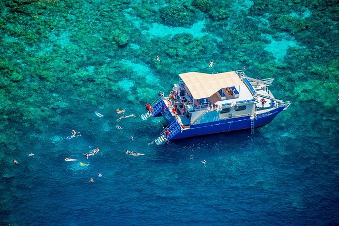 Kona’s Best Morning Snorkel: Captain Cook & Kealakekua Bay - Why Kealakekua Bay is the main event