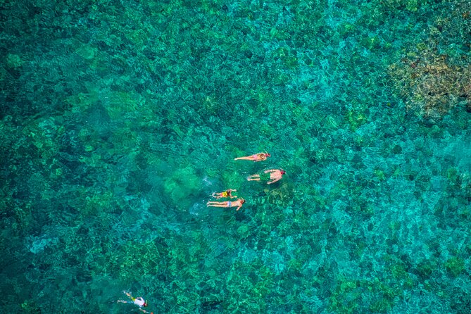 Kona’s Best Morning Snorkel: Captain Cook & Kealakekua Bay - Practical details for a smoother morning