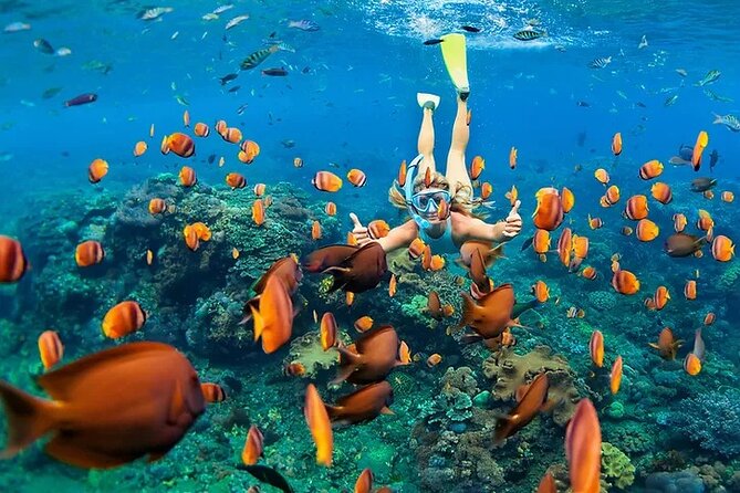 Kona Snorkel Tour: Captain Cook Reef Snorkel, Dolphin & Sea Caves - Why this small Zodiac changes the Kona coastline experience