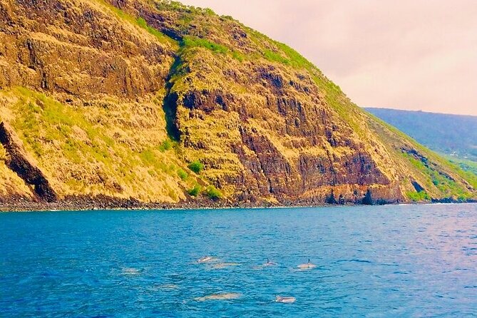 Kona Snorkel Tour: Captain Cook Reef Snorkel, Dolphin & Sea Caves - What to pack and how to prepare