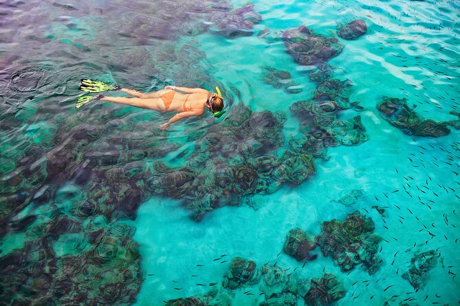 Kona Snorkel Tour: Captain Cook Reef Snorkel, Dolphin & Sea Caves - Who will enjoy this Kona snorkel trip most