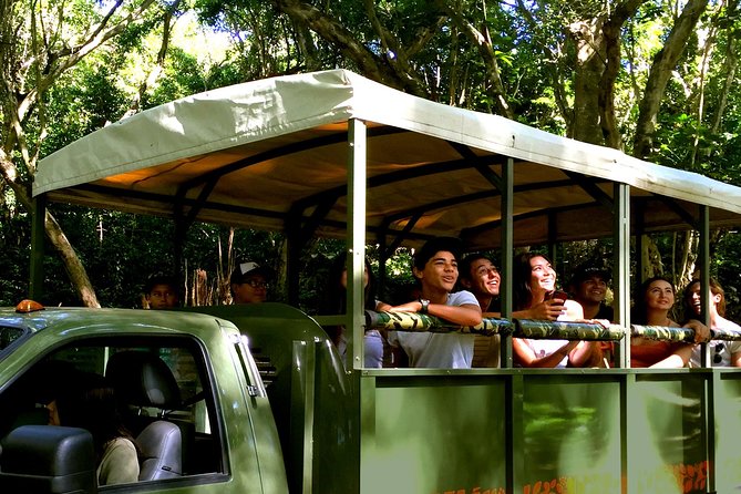 Kualoa Ranch: Jungle Expedition Tour - A working cattle ranch, not just a movie set