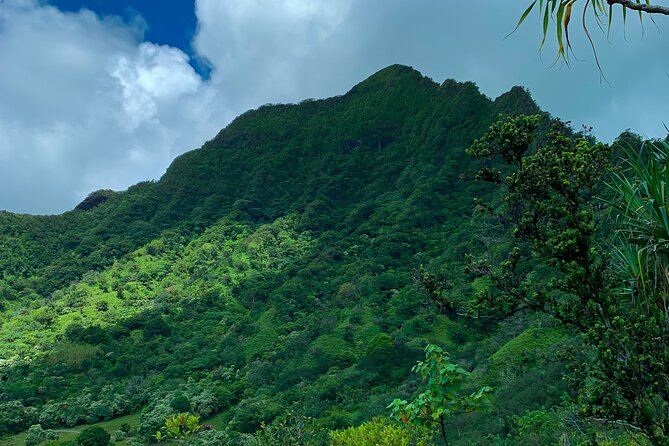 Kualoa Ranch: Jungle Expedition Tour - What the ride feels like from your seat