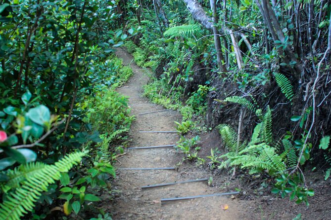 Kualoa Ranch: Jungle Expedition Tour - Who will enjoy this expedition most?