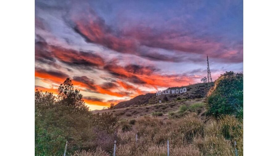 LA: Hollywood Sign Tour with Comedians, Dogs, & Epic Photos - Who will enjoy this most