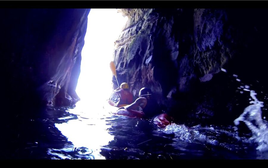 La Jolla: 2-Hour Kayak Tour of the 7 Caves - Paddling through three reserve habitats