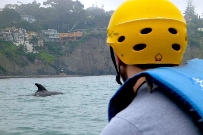 La Jolla Sea Caves Kayak Tour For Two (Tandem Kayak) - Starting at Avenida de la Playa