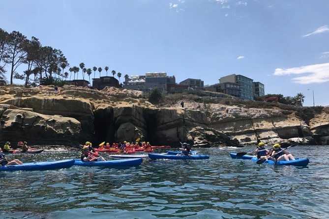 La Jolla Sea Caves Kayak Tour For Two (Tandem Kayak) - Wildlife in the La Jolla Ecological Reserve