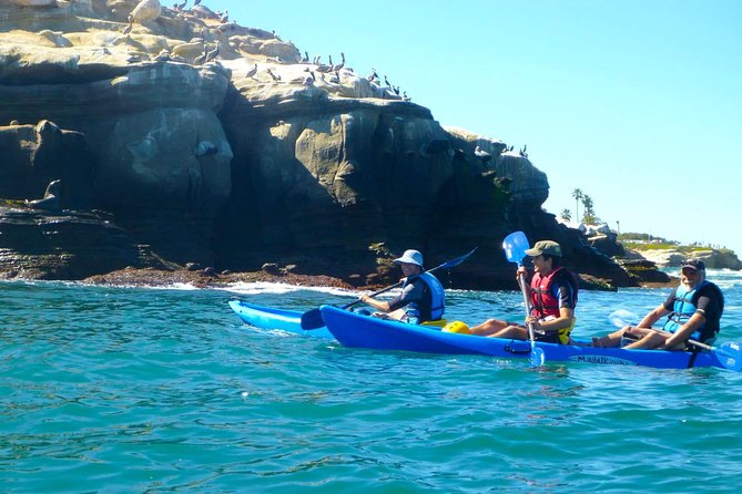 La Jolla Sea Caves Kayak Tour For Two (Tandem Kayak) - Is $75 a fair price for two?