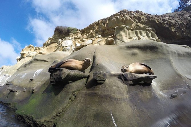La Jolla Sea Caves Kayak Tour For Two (Tandem Kayak) - Carrying the kayak to La Jolla Shores