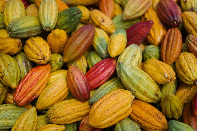 Lahaina: Maui Ku'ia Estate Guided Cacao Farm Tour and Tasting - How the factory visit adds value