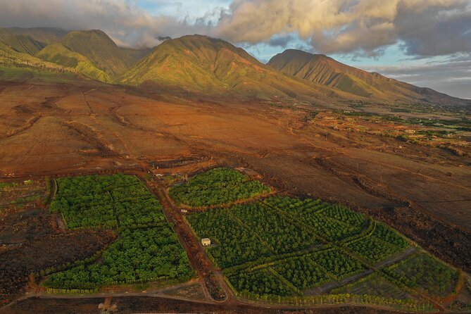 Lahaina: Maui Ku'ia Estate Guided Cacao Farm Tour and Tasting - Who will enjoy this chocolate farm tour?
