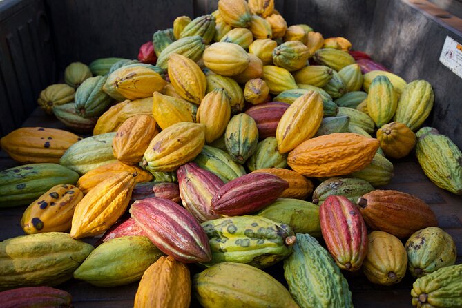 Lahaina: Maui Ku'ia Estate Guided Cacao Farm Tour and Tasting - Booking and cancellation details that matter