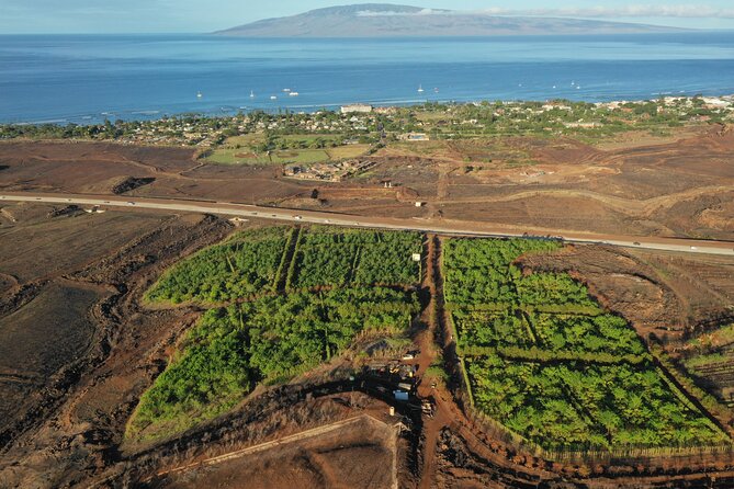 Lahaina: Maui Ku'ia Estate Guided Cacao Farm Tour and Tasting - The treehouse tasting is the payoff