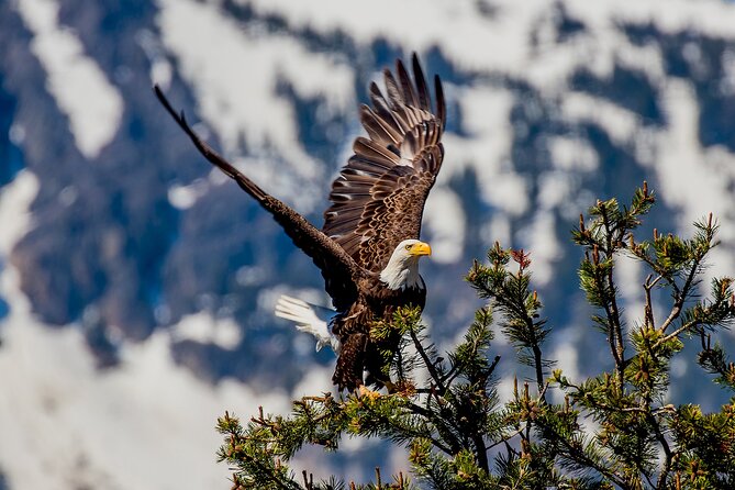Lake Tahoe Small-Group Photography Scenic Half-Day Tour - Photography help for beginners and experienced camera owners