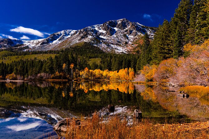 Lake Tahoe Small-Group Photography Scenic Half-Day Tour - What $195 buys you
