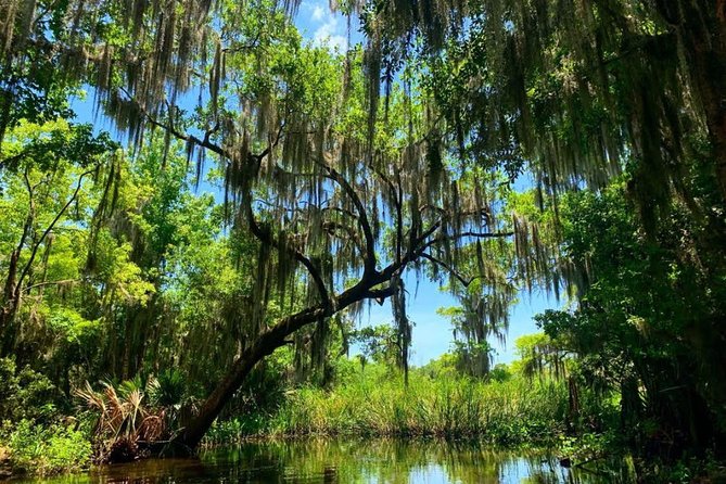 Large Airboat Swamp Tour with Transportation from New Orleans - Boarding a 16-passenger airboat at Barataria Preserve