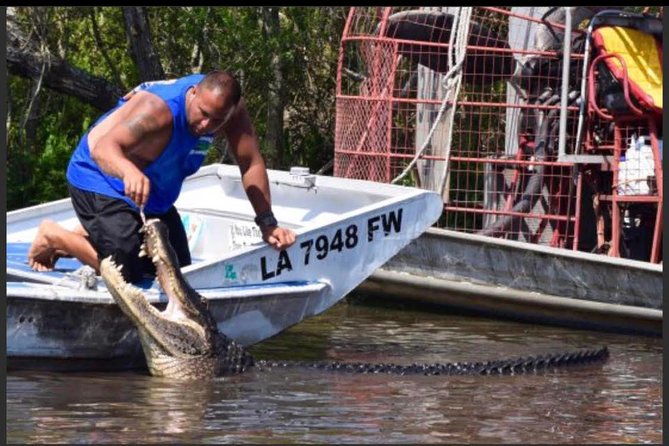 Large Airboat Swamp Tour with Transportation from New Orleans - Is the $90 price a good value?