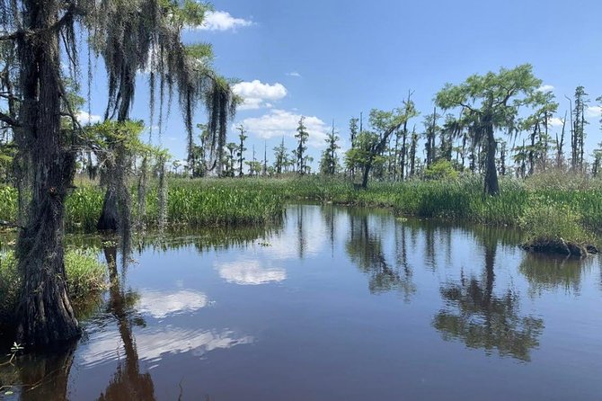 Large Airboat Swamp Tour with Transportation from New Orleans - Timing, safety, and who should skip it