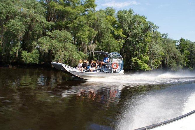 Large Airboat Swamp Tour with Transportation from New Orleans - Searching for alligators, turtles, and birds