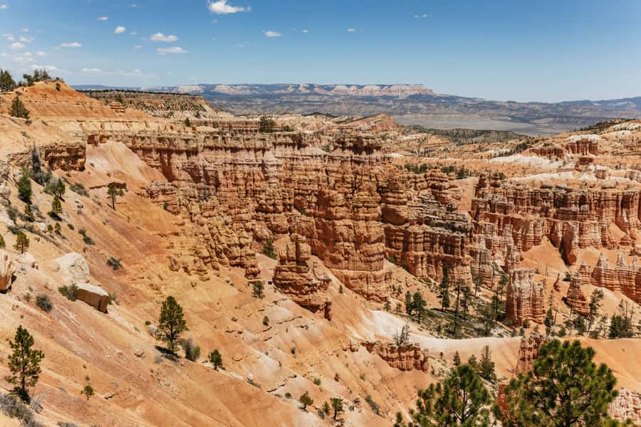 Las Vegas: Bryce and Zion National Parks Tour with Lunch - Guides, drivers, and the human side of the trip