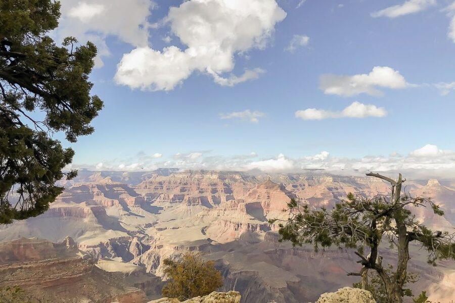 Las Vegas: Grand Canyon National Park South Rim Guided Tour - What the guide adds to the day
