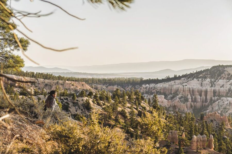 Las Vegas: Grand Canyon National Park South Rim Guided Tour - Bright Angel Lodge and the Trail of Time